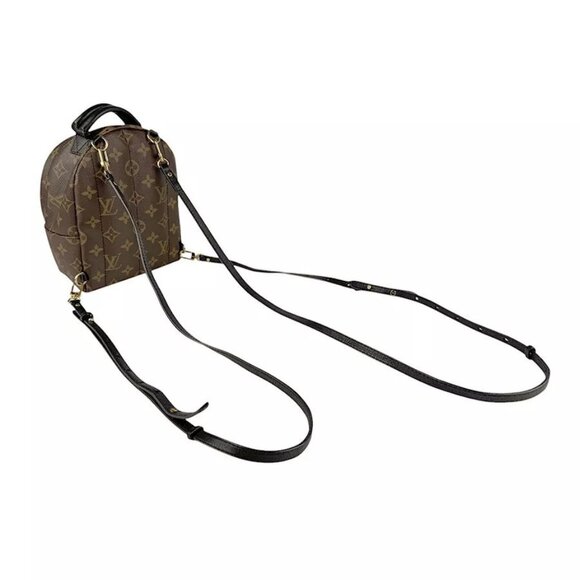 Auth LOUIS VUITTON Monogram Palm Springs Mini Backpack Brown M44873 - z4187 - Picture 15 of 16